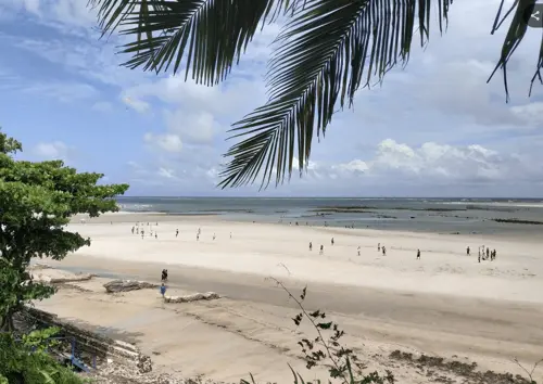 Praia do Maçarico