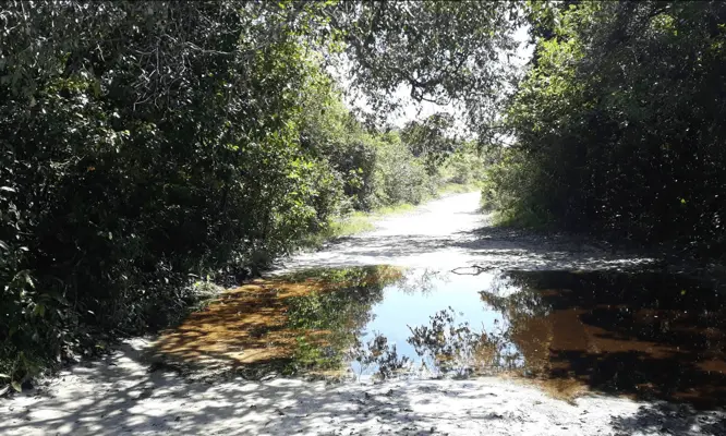 Ilha do Marco